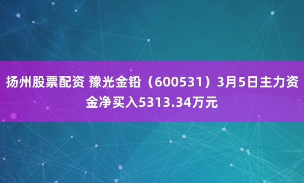 扬州股票配资 豫光金铅（600531）3月5日主力资金净买入5313.34万元