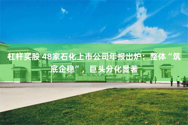 杠杆买股 48家石化上市公司年报出炉：整体“筑底企稳”，巨头分化显著