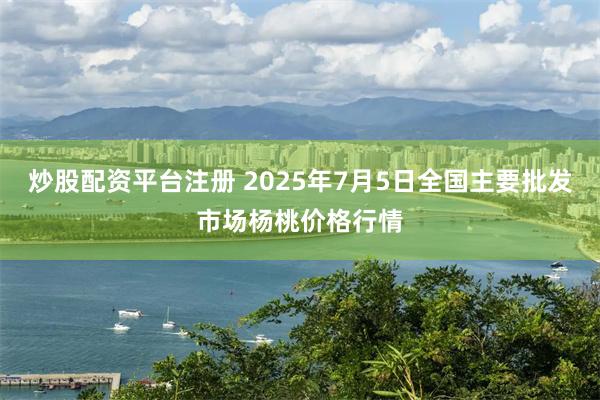 炒股配资平台注册 2025年7月5日全国主要批发市场杨桃价格行情
