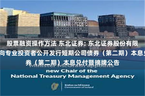 股票融资操作方法 东北证券: 东北证券股份有限公司2025年面向专业投资者公开发行短期公司债券（第二期）本息兑付暨摘牌公告