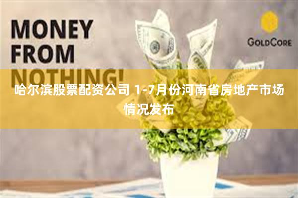哈尔滨股票配资公司 1-7月份河南省房地产市场情况发布