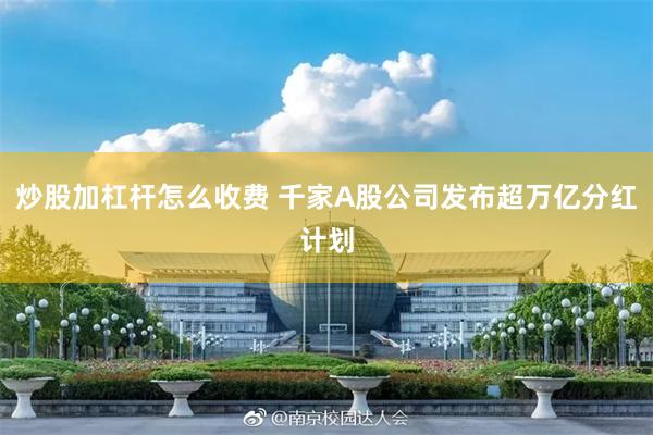 炒股加杠杆怎么收费 千家A股公司发布超万亿分红计划