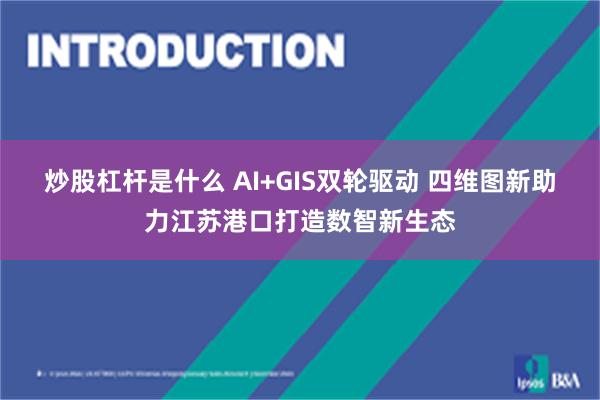 炒股杠杆是什么 AI+GIS双轮驱动 四维图新助力江苏港口打造数智新生态